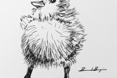 5_Chicken