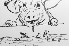 6_Drooling