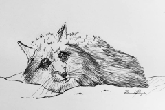 11-Snow