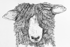 14-Overgrown