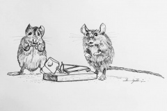 3-Bait