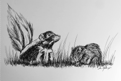 31-ripe