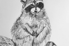 6-Husky