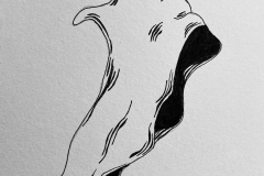 Day23_Rip