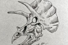 Day24-Extinct
