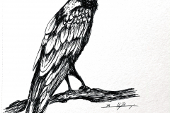 Day5-Raven