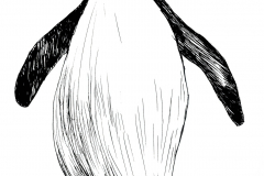 Ego
