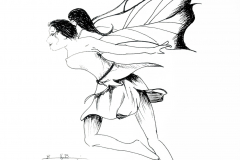 Fairy