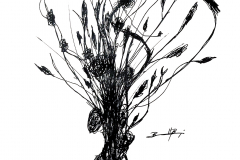 WildFlowers