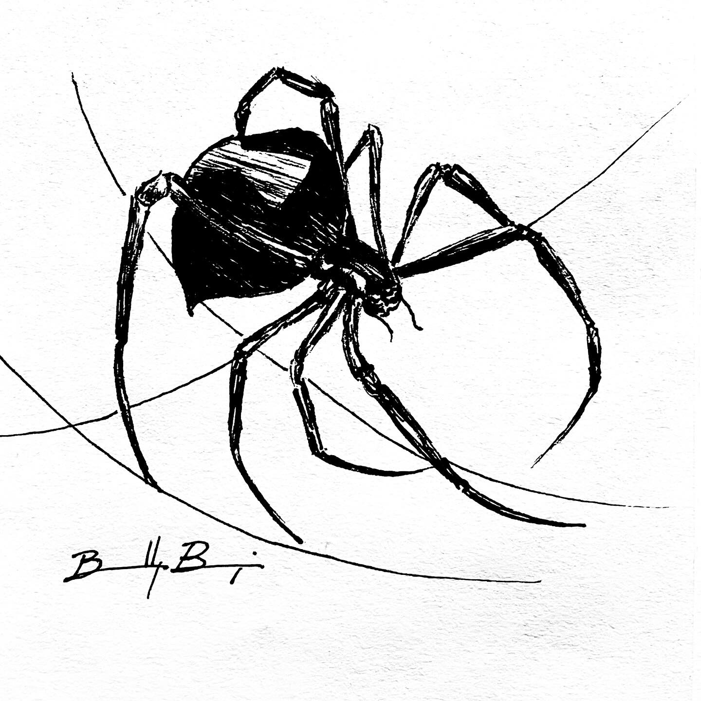 2-Spiders