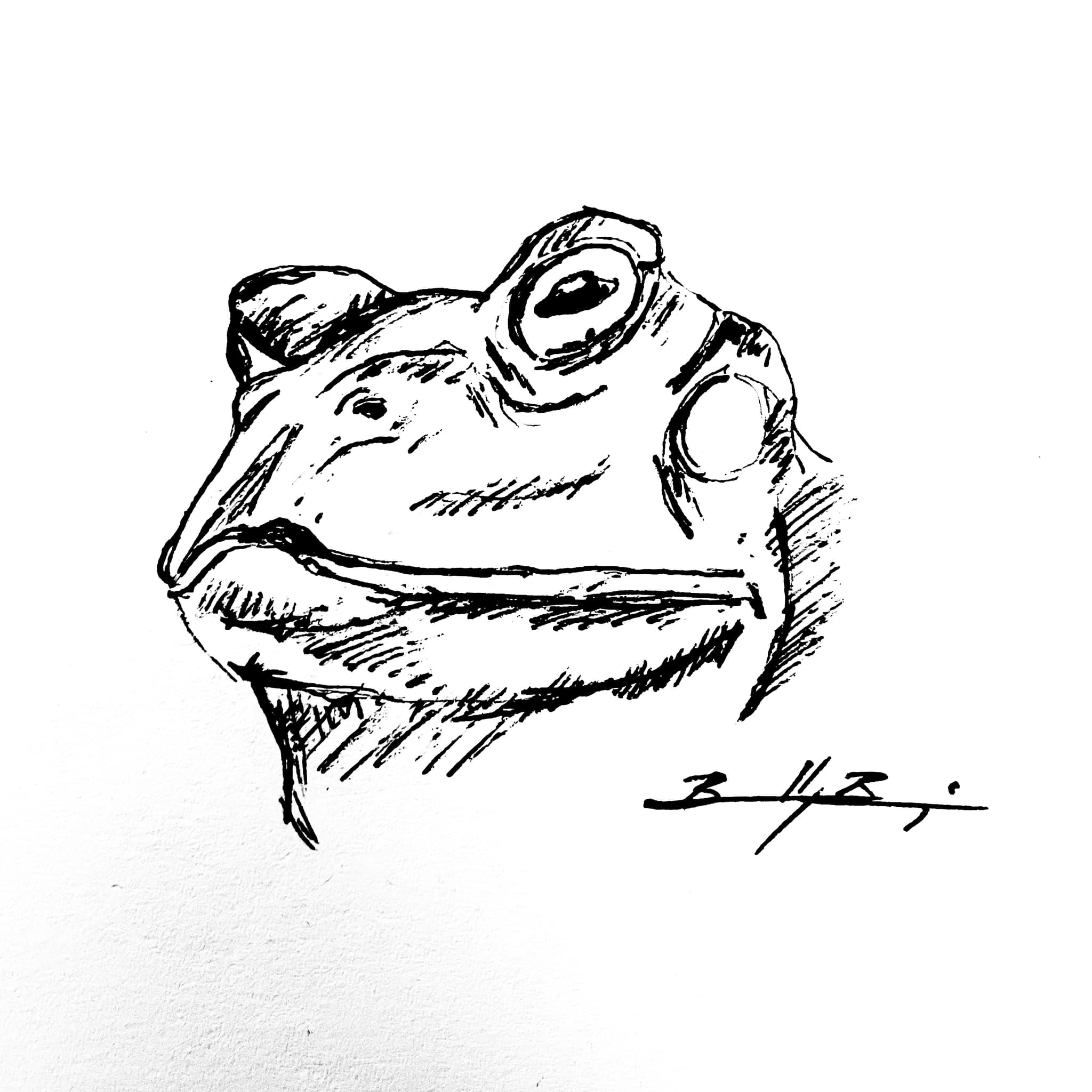 8-Toad
