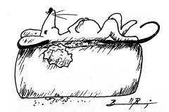 10-Fortune
