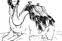 18-Saddle