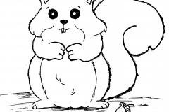19-Plump