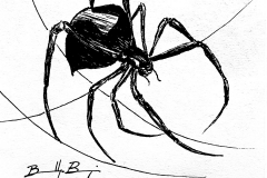 2-Spiders
