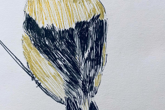 6-Golden