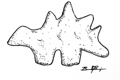 19-Ridge