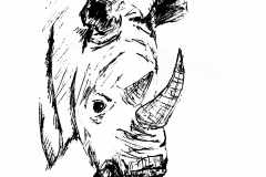 21-Rhinoceros