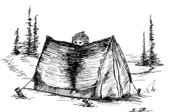 22-Camp