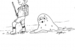 8-Hike