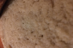 22_Cookie