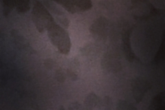 25_Curtain