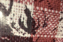 27_HogEye