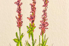 1-Waterflowers