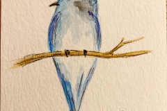 2-LittleBird