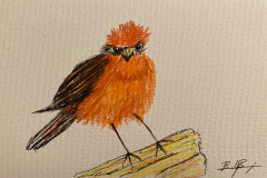 22-Ruffled