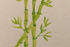 23-Bamboo