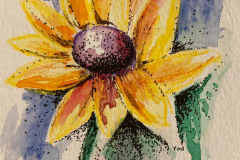 3-Sunflower