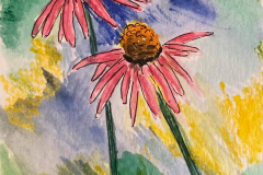 5-ConeFlowers