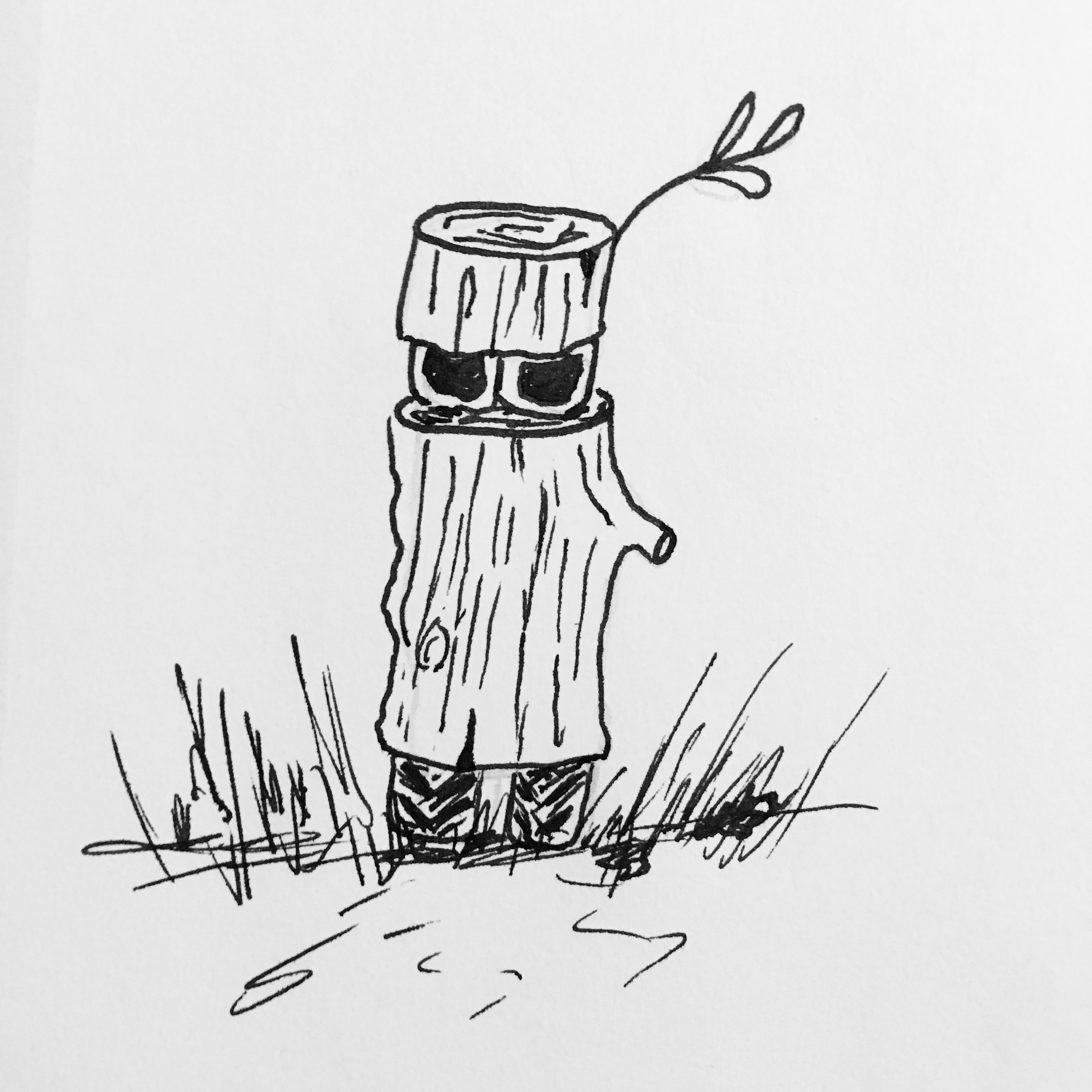 29_Lumber
