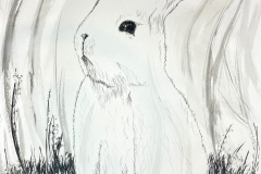 1_Rabbit