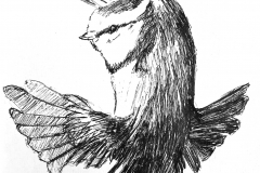 Bird