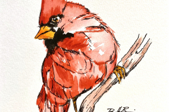 Cardinal