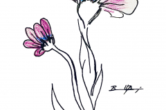 DifferentFlower