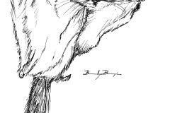 FlyingSquirrel