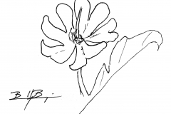 GenericFlower