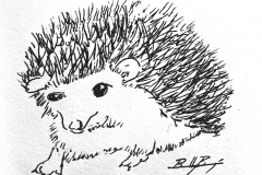 Hedgehog