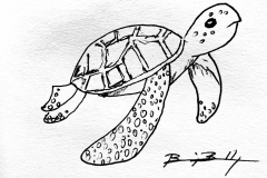 Turtle