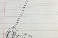 9-Mop