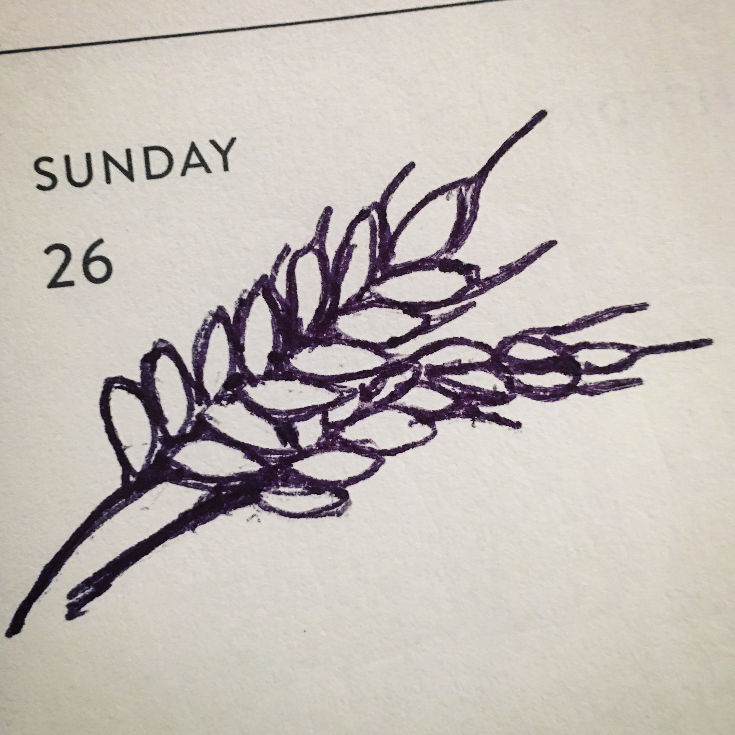 26_Harvest