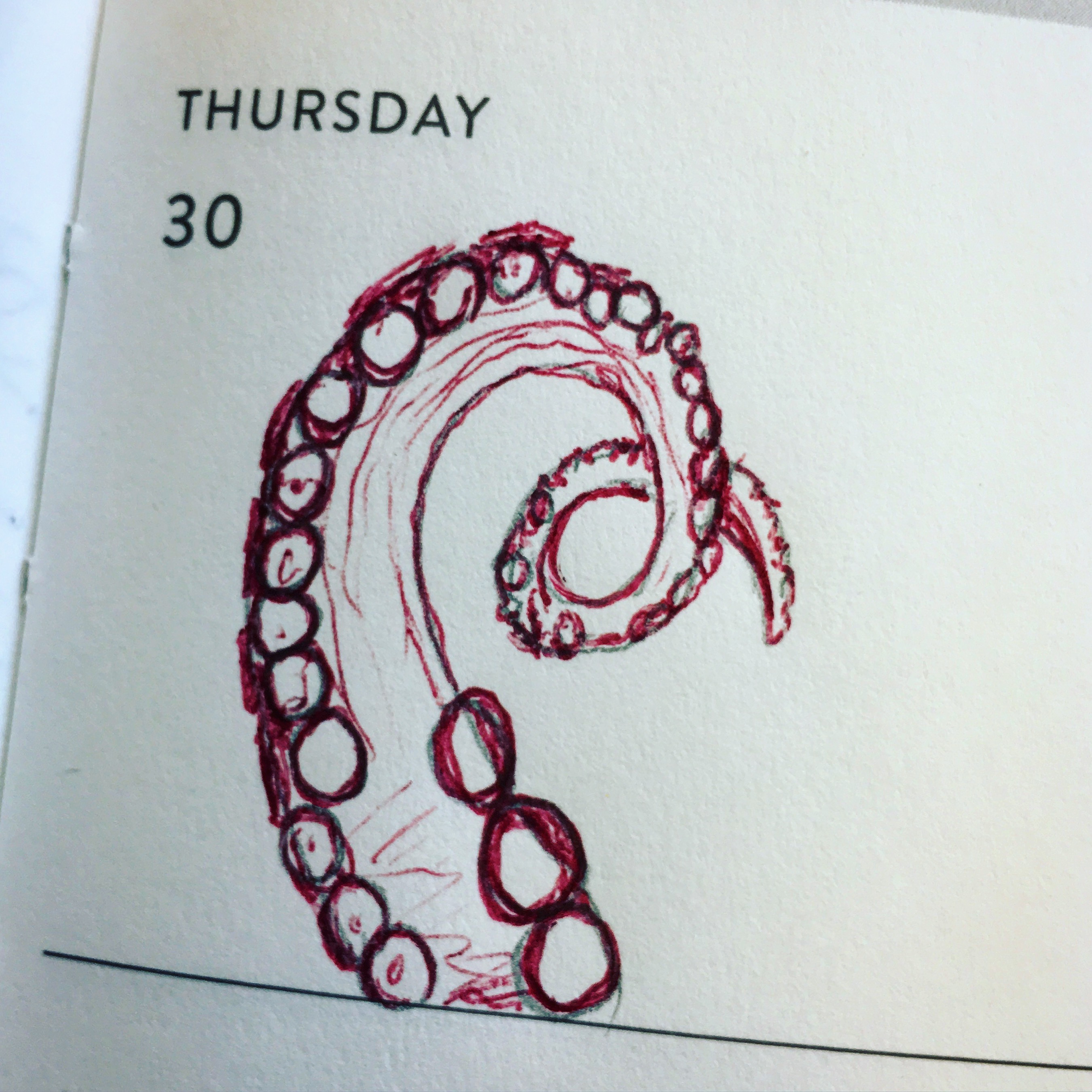 30_Unfurl