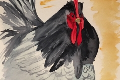 12_Blue_Hen_Chicken-DE