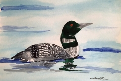17_Common_Loon-MN
