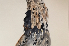 18_Ruffed_Grouse-PA