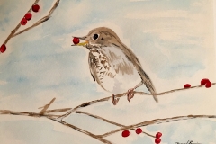 24_Hermit_Thrush-VT
