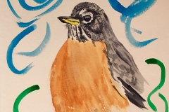 27_Robin-CT_MI_WI